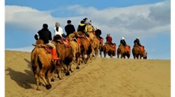 Caravana de camellos en la Ruta de la Seda